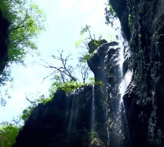 青山綠水，白龍江畔江畔息白鷺，兩岸綠橄欖入眼的都是純樸自然枝上花開(kāi)，春來(lái)水暖魚(yú)蝦戲水，鳥(niǎo)語(yǔ)花香心中充滿(mǎn)著舒暢之感祥宇生態(tài)產(chǎn)業(yè)園，位于隴南市武..